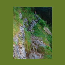 2012-08-09_01Fischunkel-Alm_Wasseralm (195)b.JPG